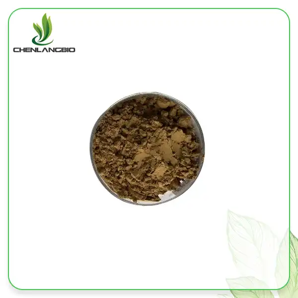 Hamamelis Virginiana Extract